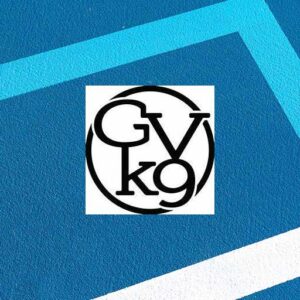 sponsor-gvk9